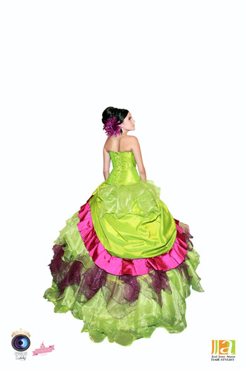 Quinceanera Dresses in Chicago